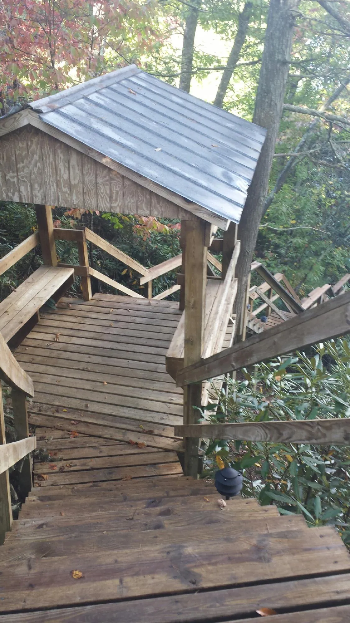 Metal roofed shelter over wooden steps on a wooded walkway — Skylight Repair & Installation work by our crew in Pine Hall