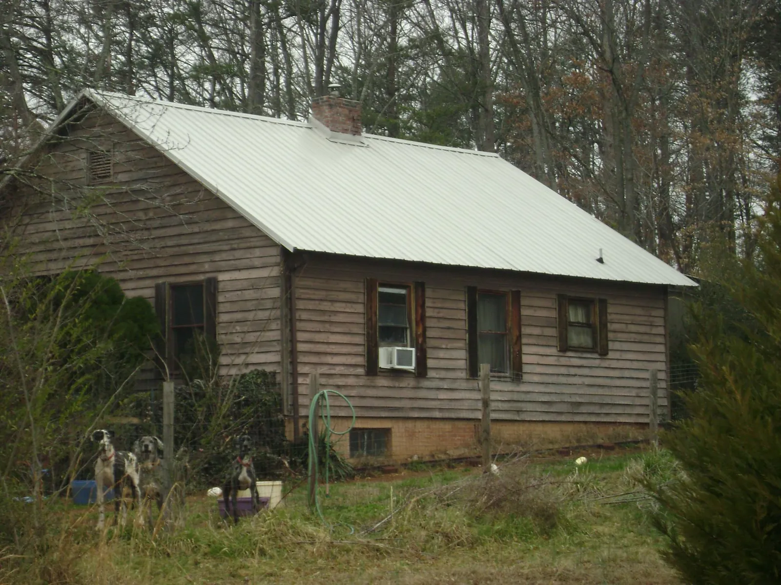 White metal roof on an old wood sided farmhouse, from a Asphalt Shingle Roof Repair job in Pine Hall